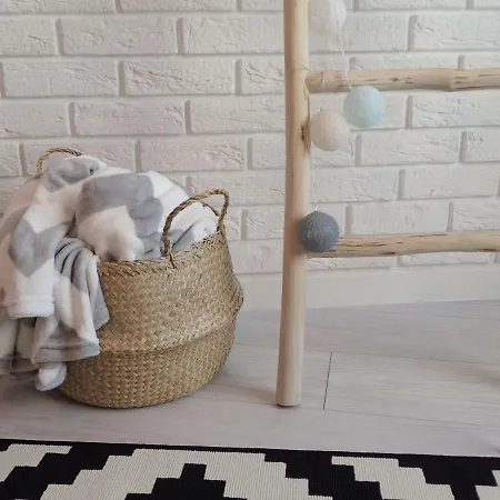 Przy Muzeum アパート *